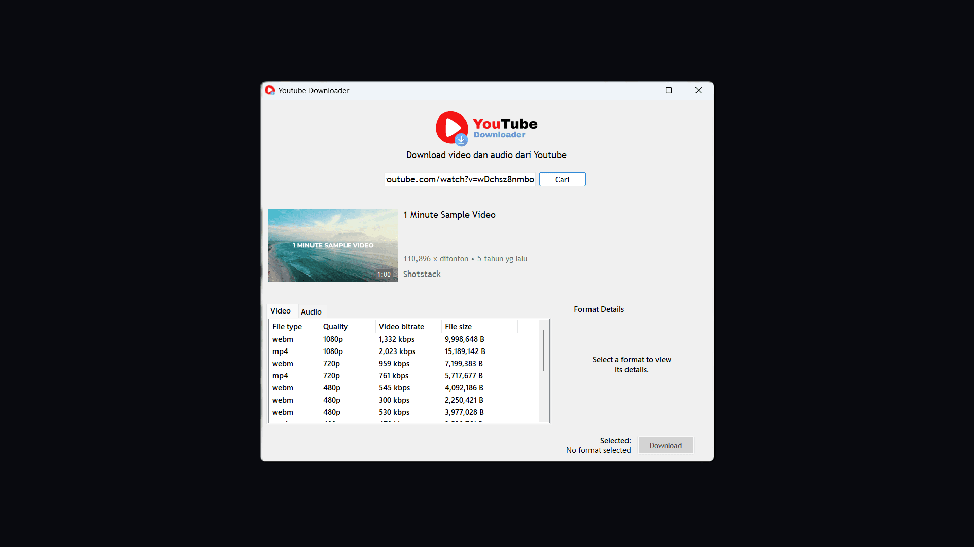 TubeDL screenshot